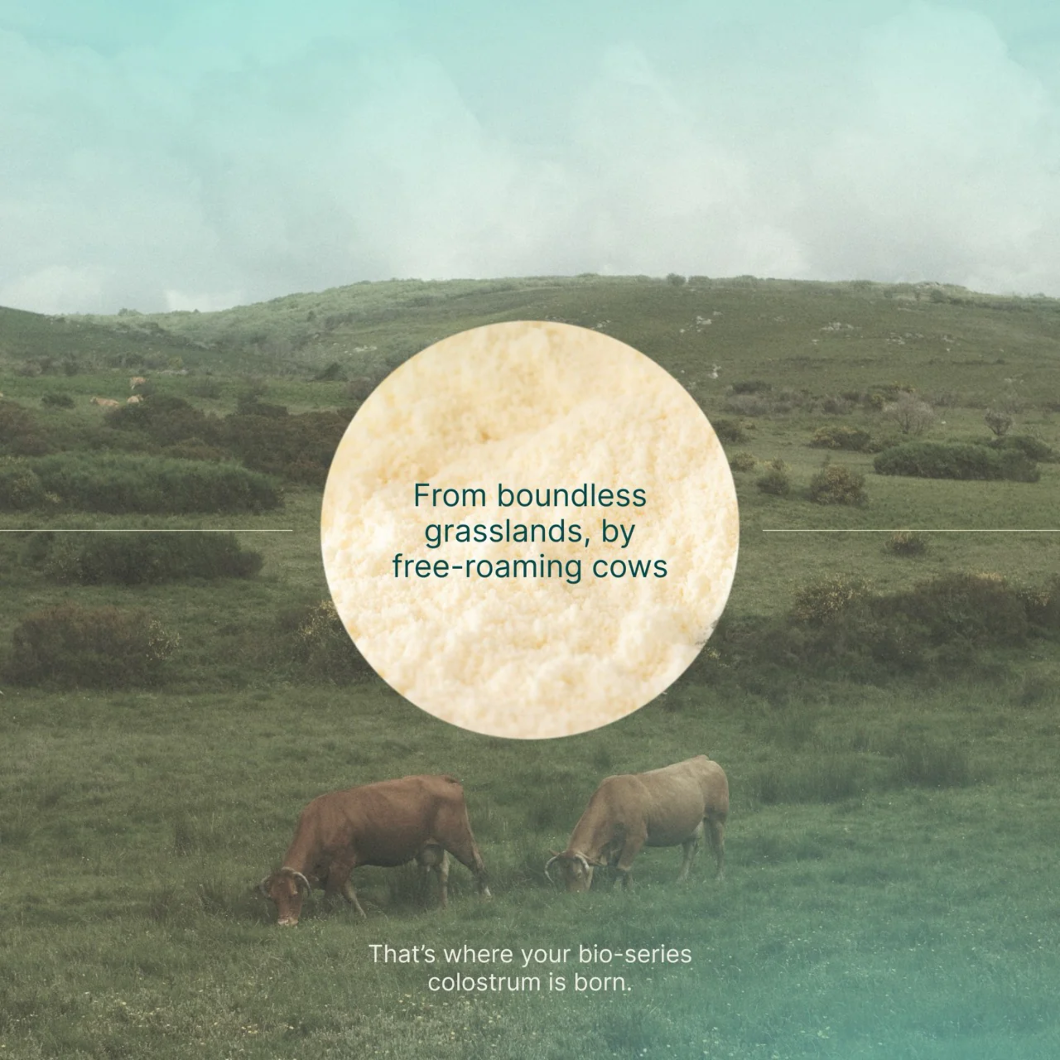 Daily Colostrum 120g.